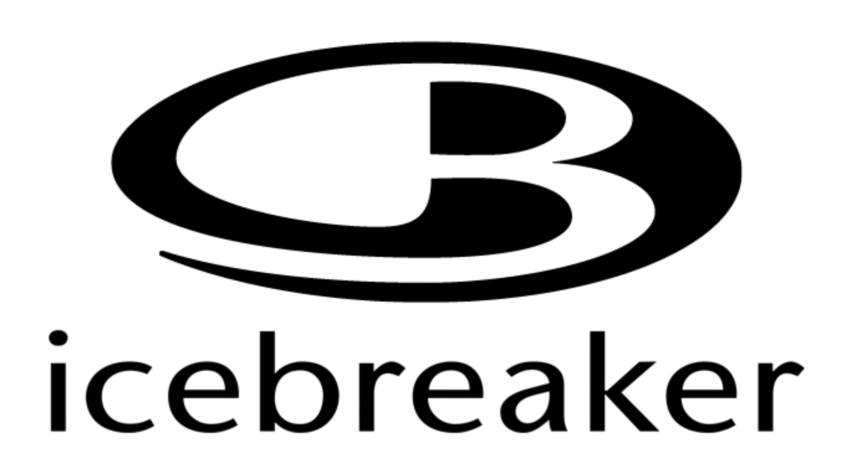 Ice Logo